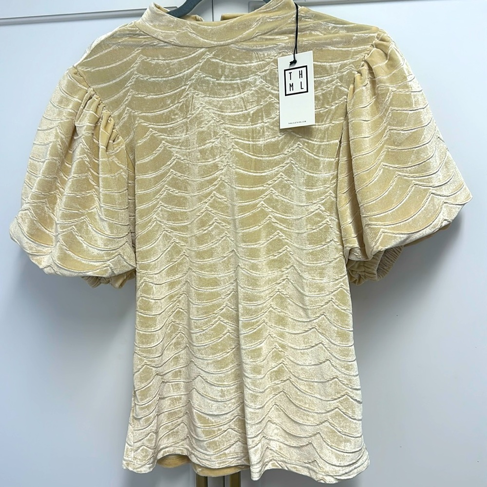 ❣️NEW❣️ PUFF SLEEVE TOP WITH VELVETY FEEL❣️